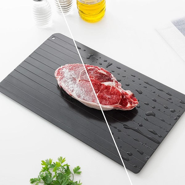 Quick Desfrosting Plate - Image 2